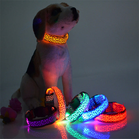 Fashion Leopard LED Dog Collar Flashing