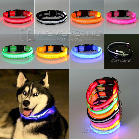 Glow LED Dog Pet Cat Flashing Light Up Nylon