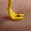 Tick Twister Remover Hook Tool Human Dog Pet Horse Cat Pet Comb