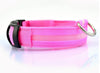 Nylon LED Pet Dog Collar,Night Safety Flashing Glow