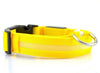 Nylon LED Pet Dog Collar,Night Safety Flashing Glow