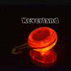 Bright Dog Pet LED Night Safety Flash Light for Collar