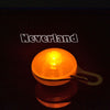 Bright Dog Pet LED Night Safety Flash Light for Collar