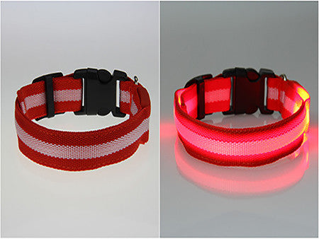 Glow LED Dog Pet Cat Flashing Light Up Nylon