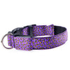 Fashion Leopard LED Dog Collar Flashing