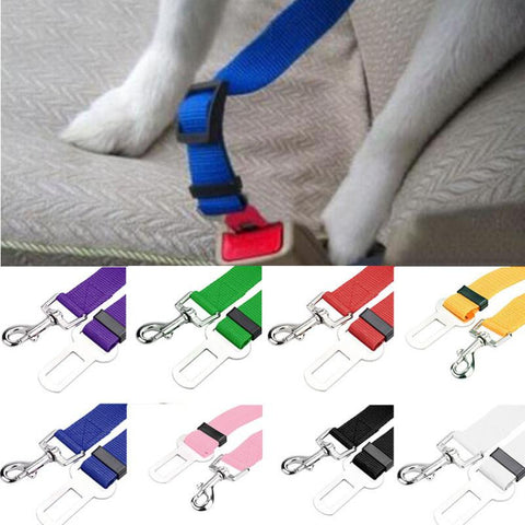 New Qualified Pet Cat Dog Safety Vehicle Car cachorro