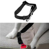 New Qualified Pet Cat Dog Safety Vehicle Car cachorro