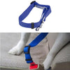 New Qualified Pet Cat Dog Safety Vehicle Car cachorro