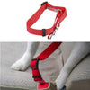 New Qualified Pet Cat Dog Safety Vehicle Car cachorro