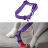 New Qualified Pet Cat Dog Safety Vehicle Car cachorro