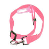 New Qualified Pet Cat Dog Safety Vehicle Car cachorro