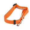 New Qualified Pet Cat Dog Safety Vehicle Car cachorro