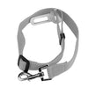 New Qualified Pet Cat Dog Safety Vehicle Car cachorro