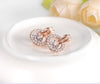 Wedding Jewelry Sets Rose Gold Color Necklace/Earring Bijouterie Sets for Women Aretes