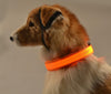 Nylon LED Pet Dog Collar,Night Safety Flashing Glow