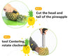 Stainless Steel Fruit Pineapple Corer Slicers Peeler Parer Cutte