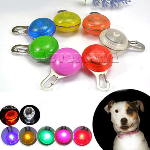 Bright Dog Pet LED Night Safety Flash Light for Collar